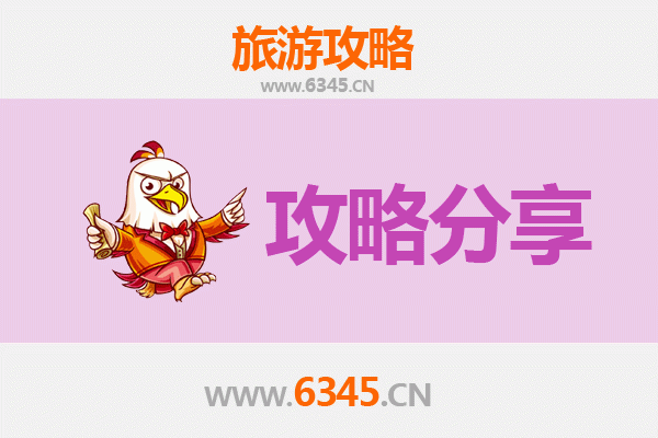 中山坦洲镇旅游攻略：跟团与自由行深度解析