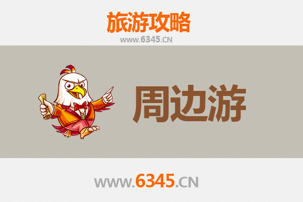 中山坦洲镇周边游全攻略：探索珠三角隐秘水乡与美食之旅